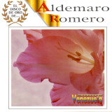 Aldemaro Romero - El Disco de Oro de...