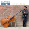David Brito - Tendencia Nueva