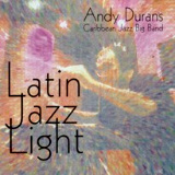 Andy Durn - Latin Jazz Light